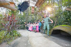 A group of people observing a bird in a natural setting with a wooden structure overhead. - Royal Safari Garden Resort & Convention (Cisarua)