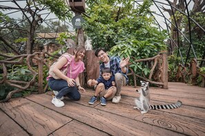 Eine Familie interagiert mit einem Lemur auf einem Holzboden, umgeben von viel Grün und einem Metallzaun.