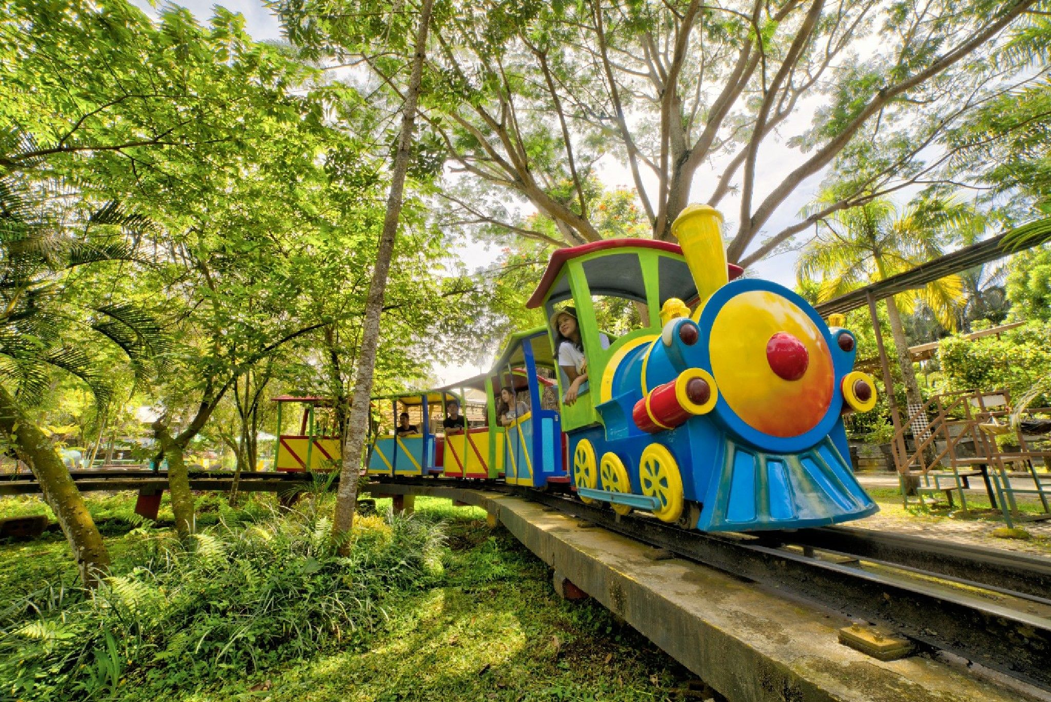 Un tren colorido en un entorno verde y exuberante.