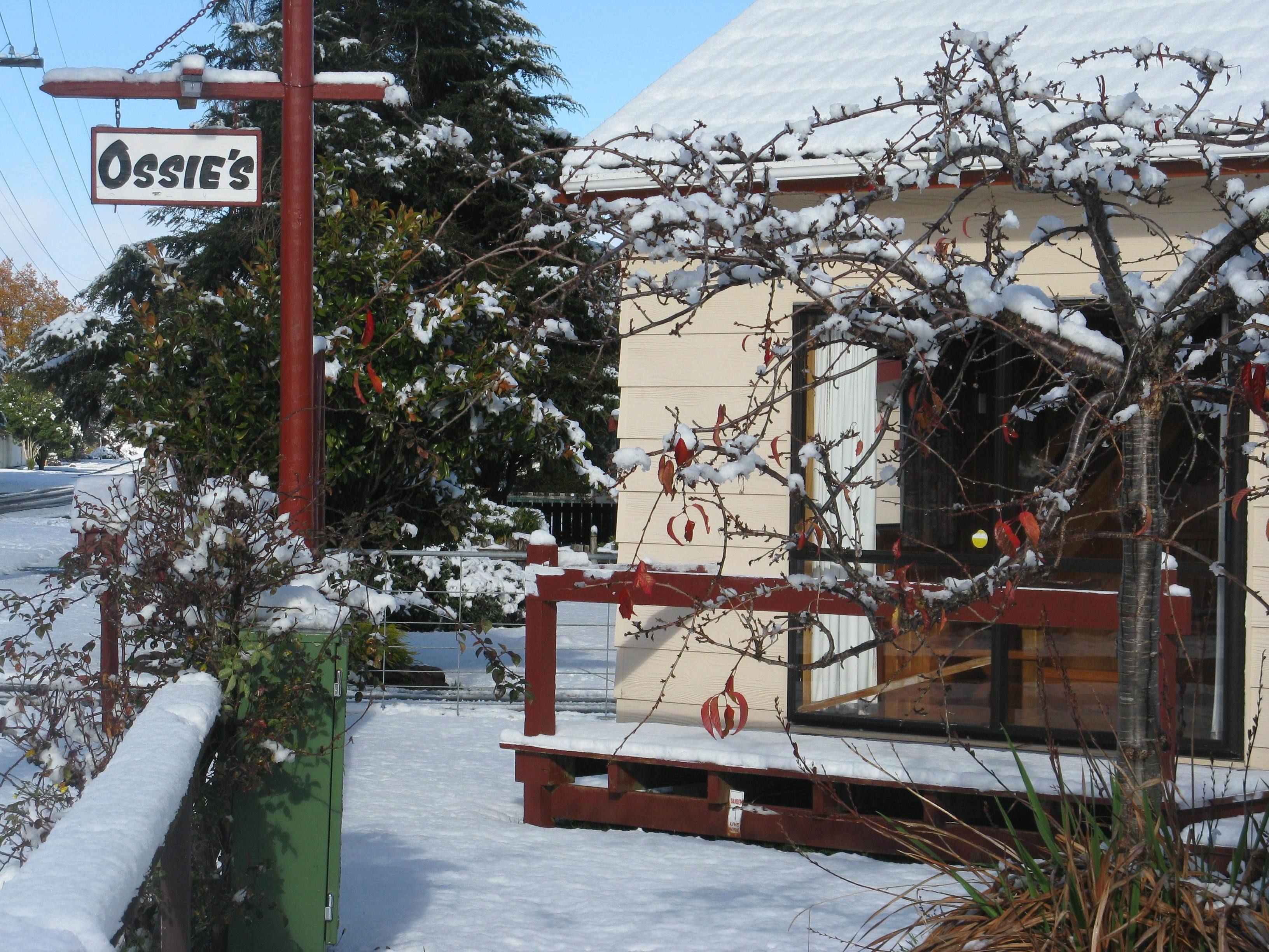 A building with a sign that reads "Ossie's".