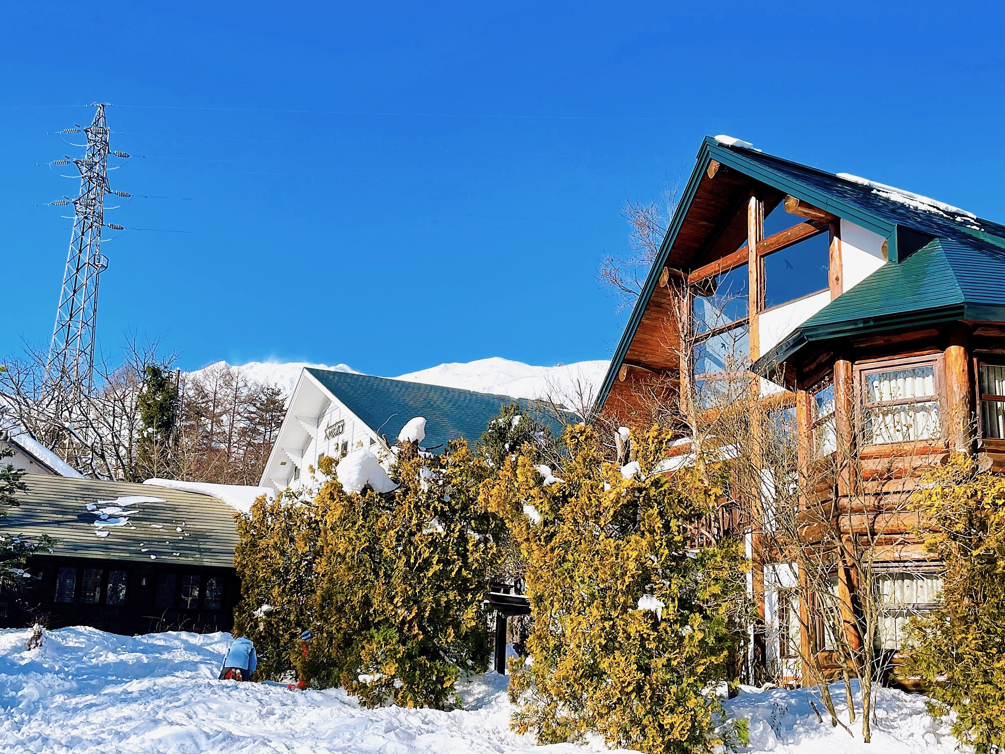 A wooden cabin with a green roof, surrounded by snow-covered ground and trees.
