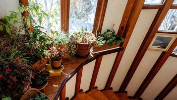 Una escalera de madera con plantas en macetas en el rellano.