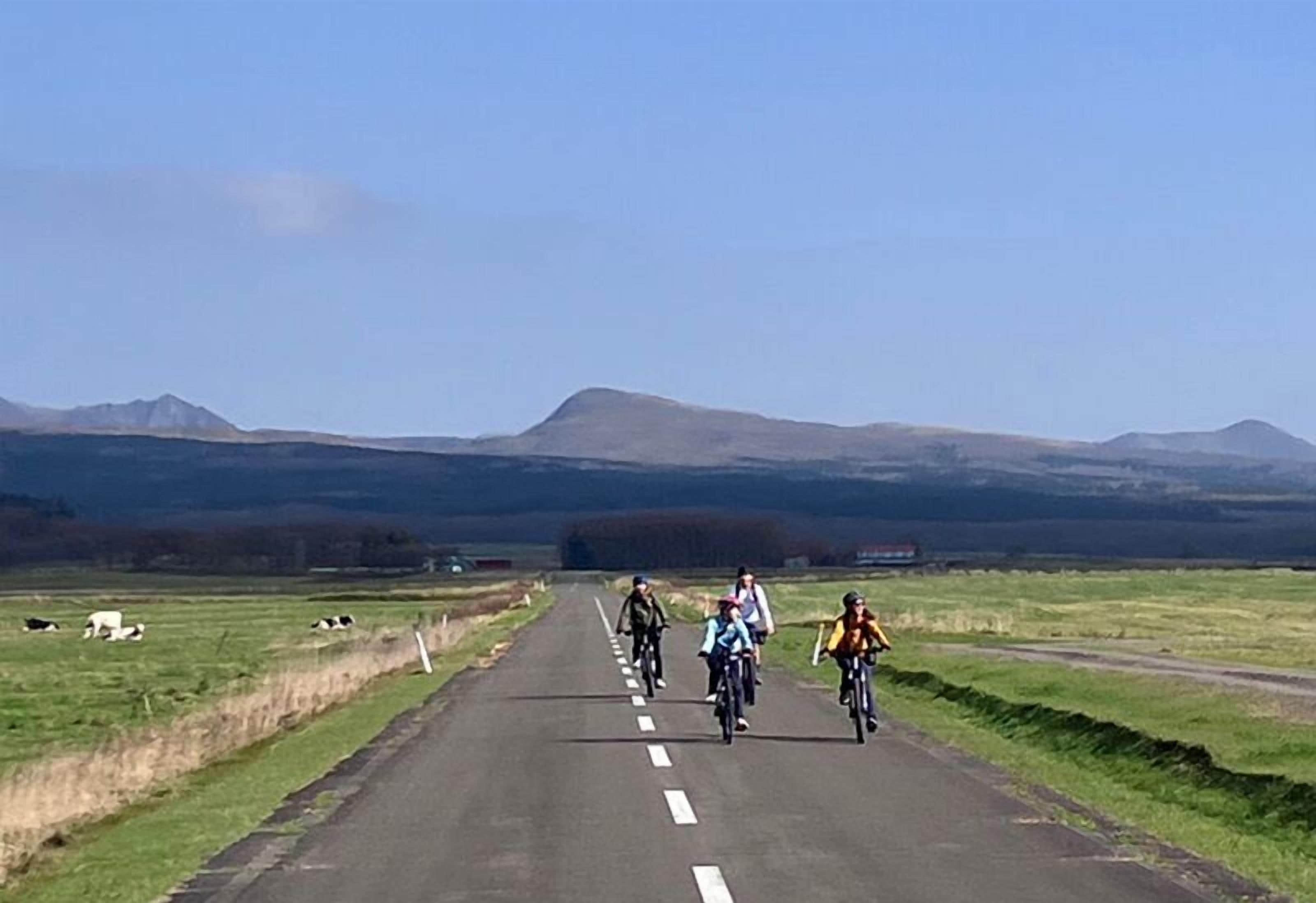 A road with cyclists and cows in a rural setting.