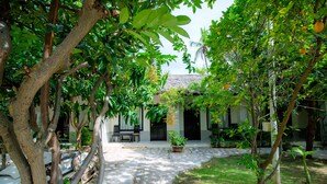 A courtyard with a tiled pathway, potted plants, and a thatched-roof building.