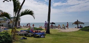 Playa privada, camastros y sombrillas 
