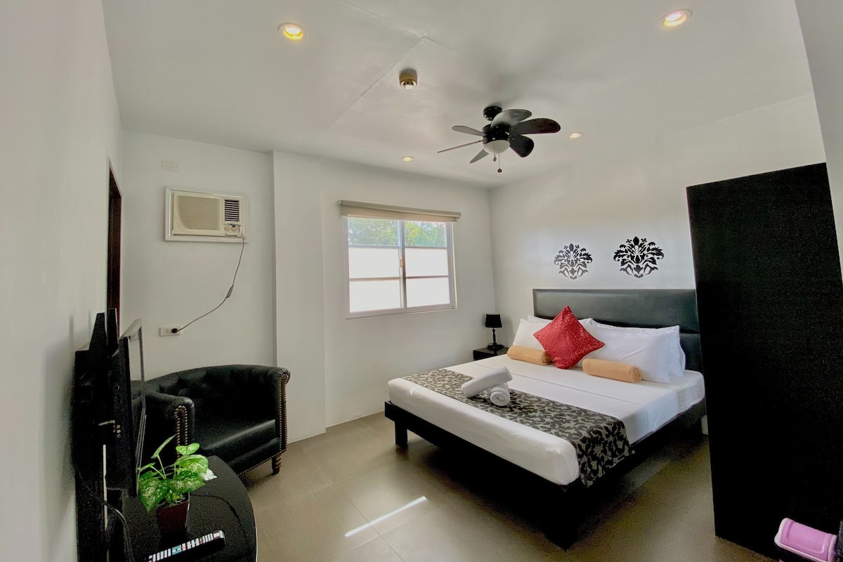 A hotel room with a bed, a television, a ceiling fan, a window, and a plant.