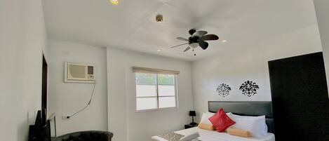 A hotel room with a bed, a television, a ceiling fan, a window, and a plant.