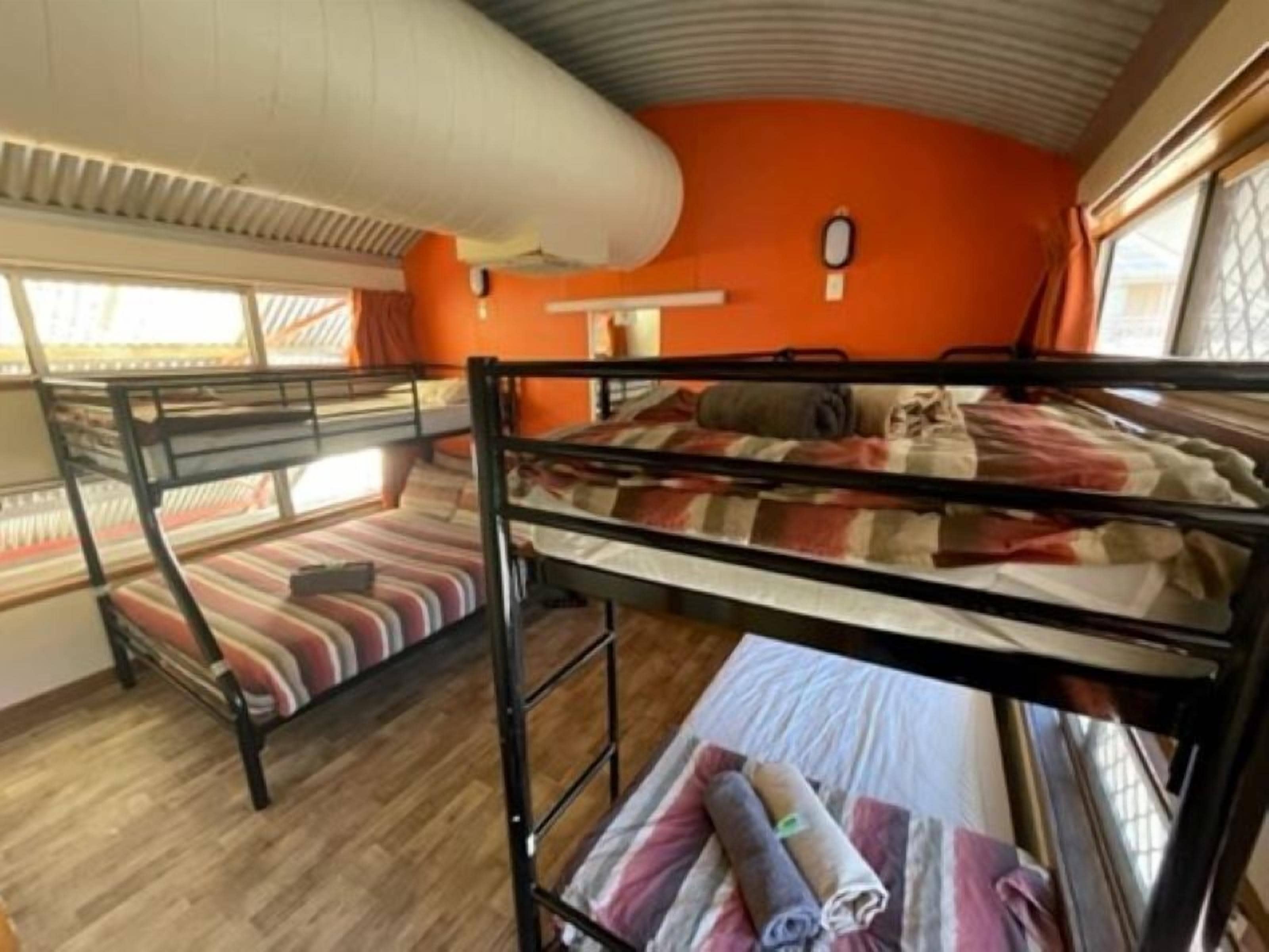 A bunk bed room with orange walls and a window.