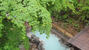 A traditional Japanese onsen with a wooden bathhouse, surrounded by lush greenery. - Sakaiya Mori no Hotel Wald Berg (YAMAGATA)