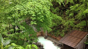 Spa - Sakaiya Mori no Hotel Wald Berg (YAMAGATA)