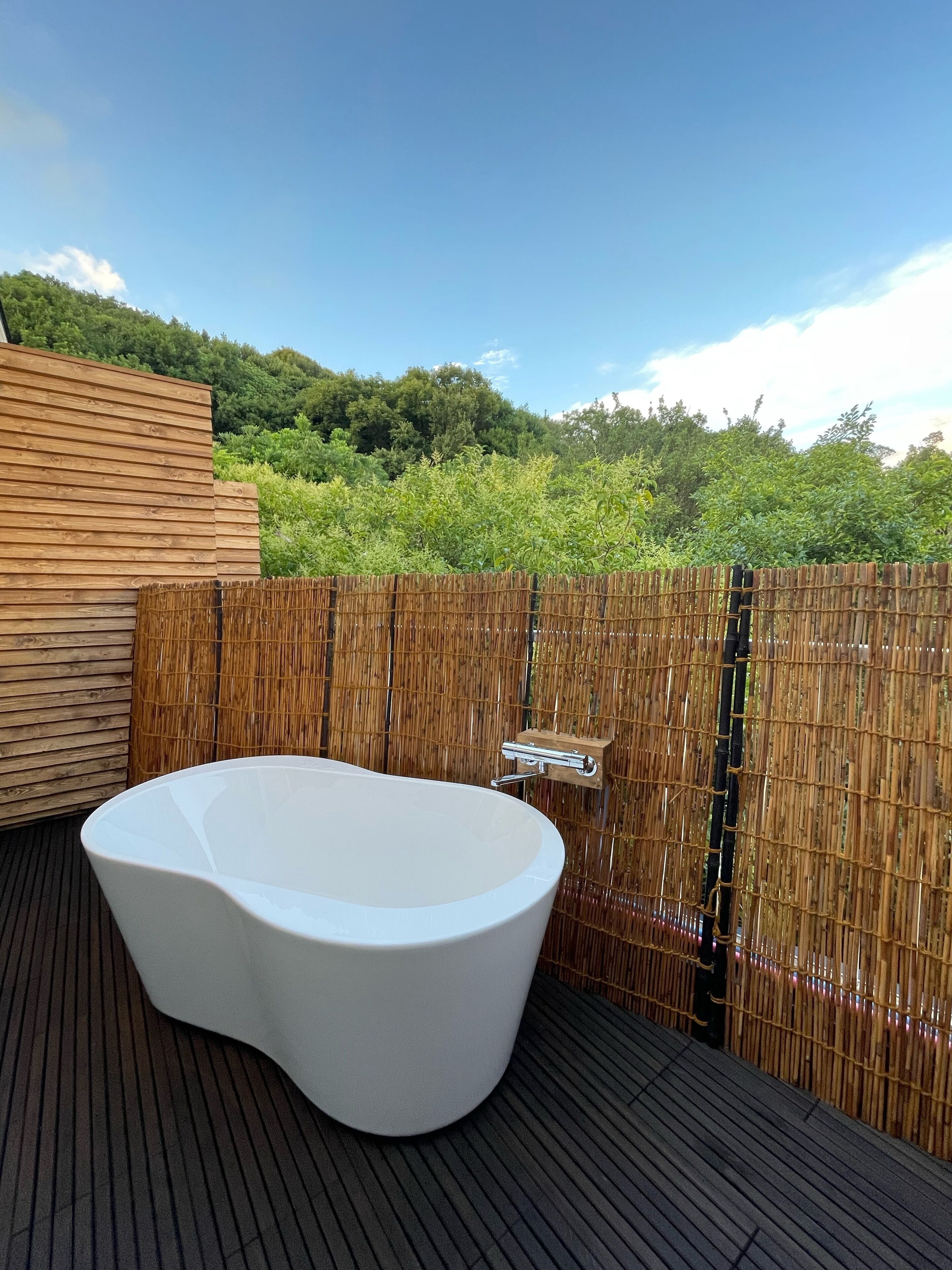 western style room, 10 tatami, with shower | bathroom | free toiletries, hair dryer, slippers, towels