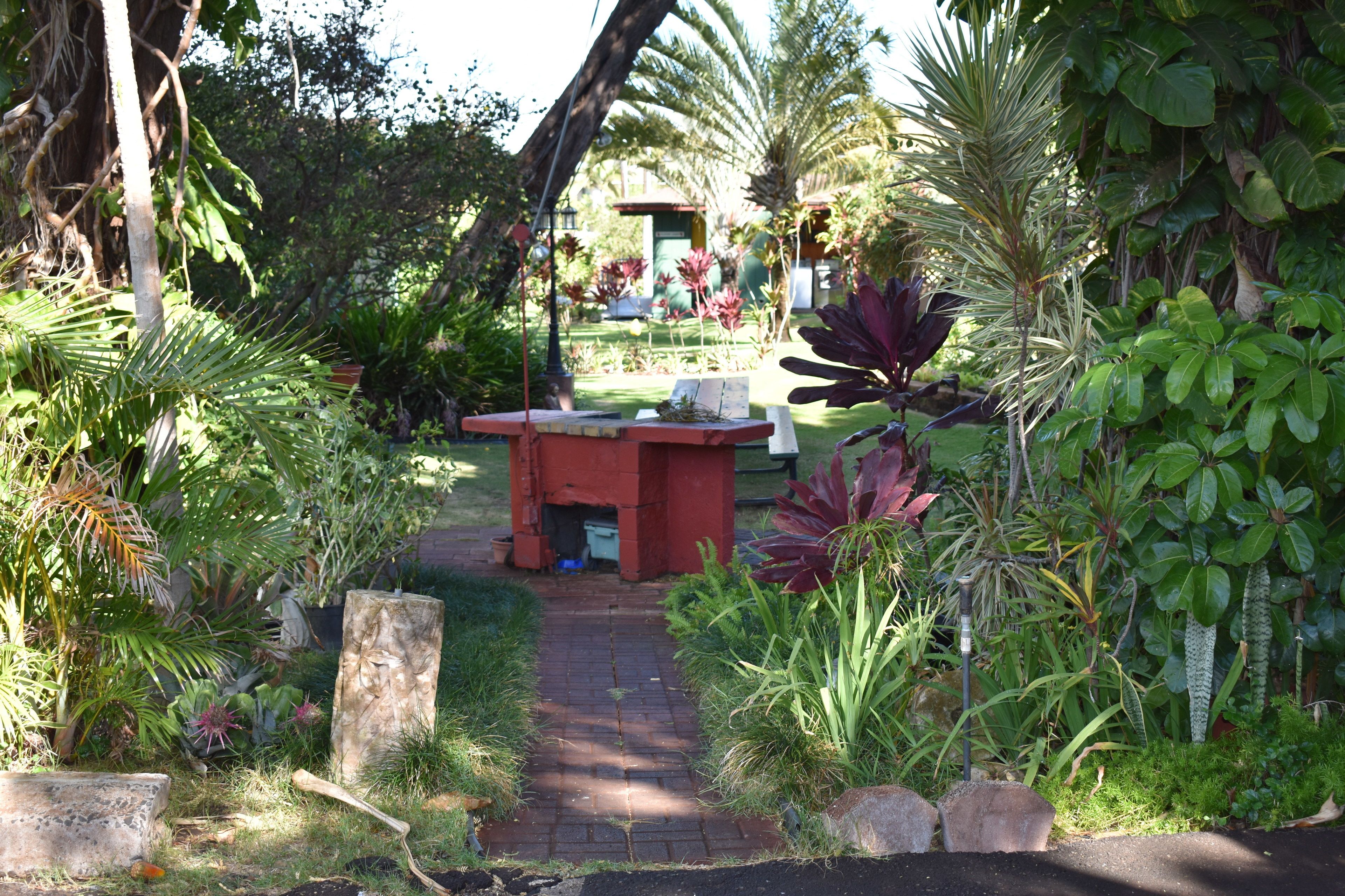 A garden pathway leading to a red structure, surrounded by various tropical plants and greenery.