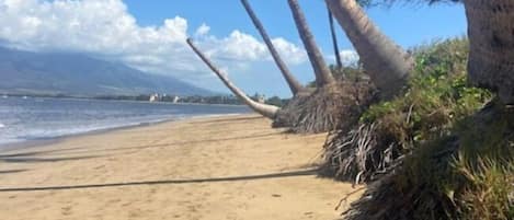 On the beach, beach towels