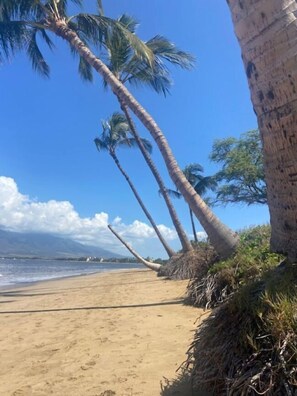 On the beach, beach towels - Nona Lani Cottages (Kihei)