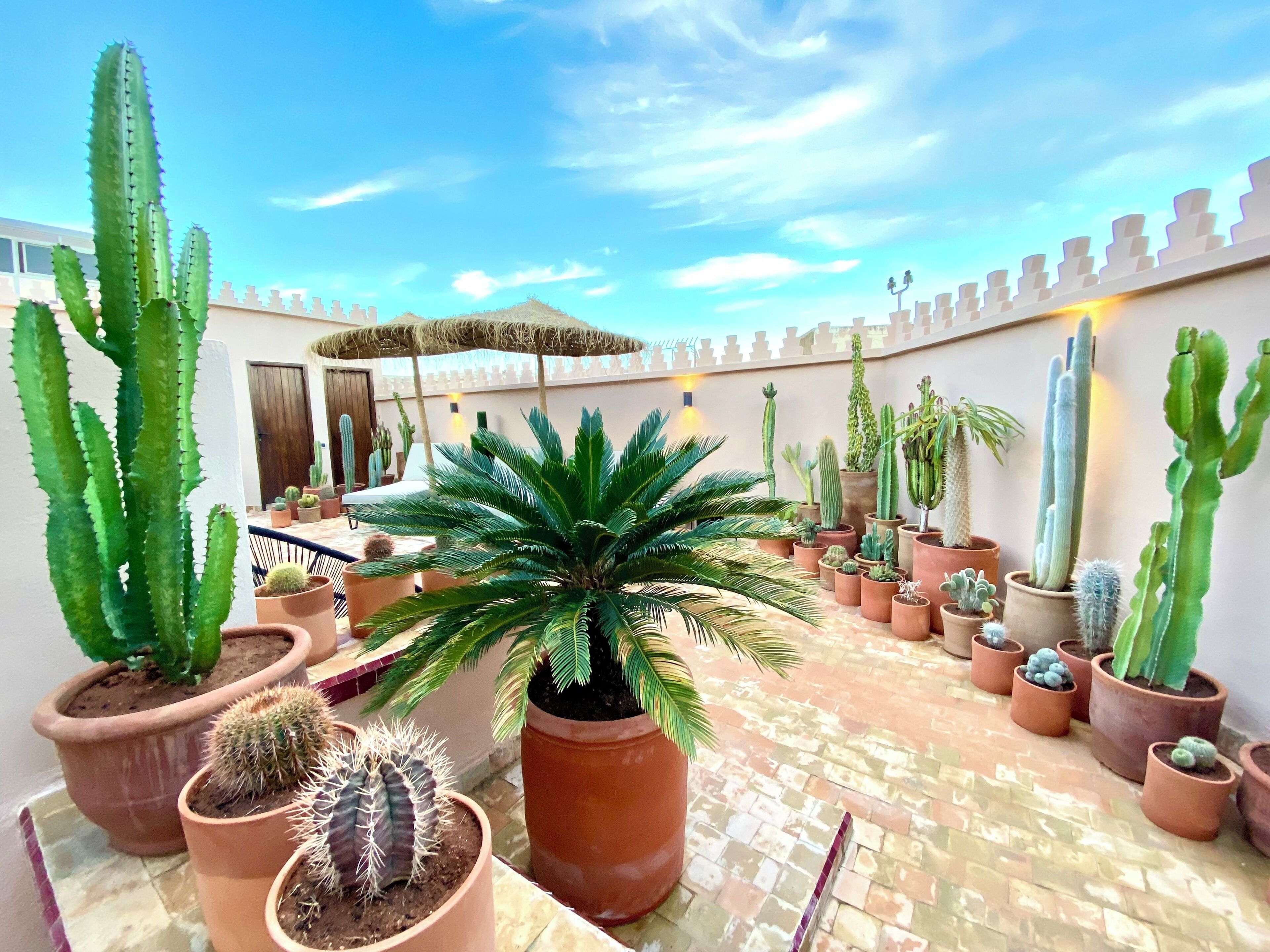 Photo - Riad Zamane Fès - Boutique & Spa