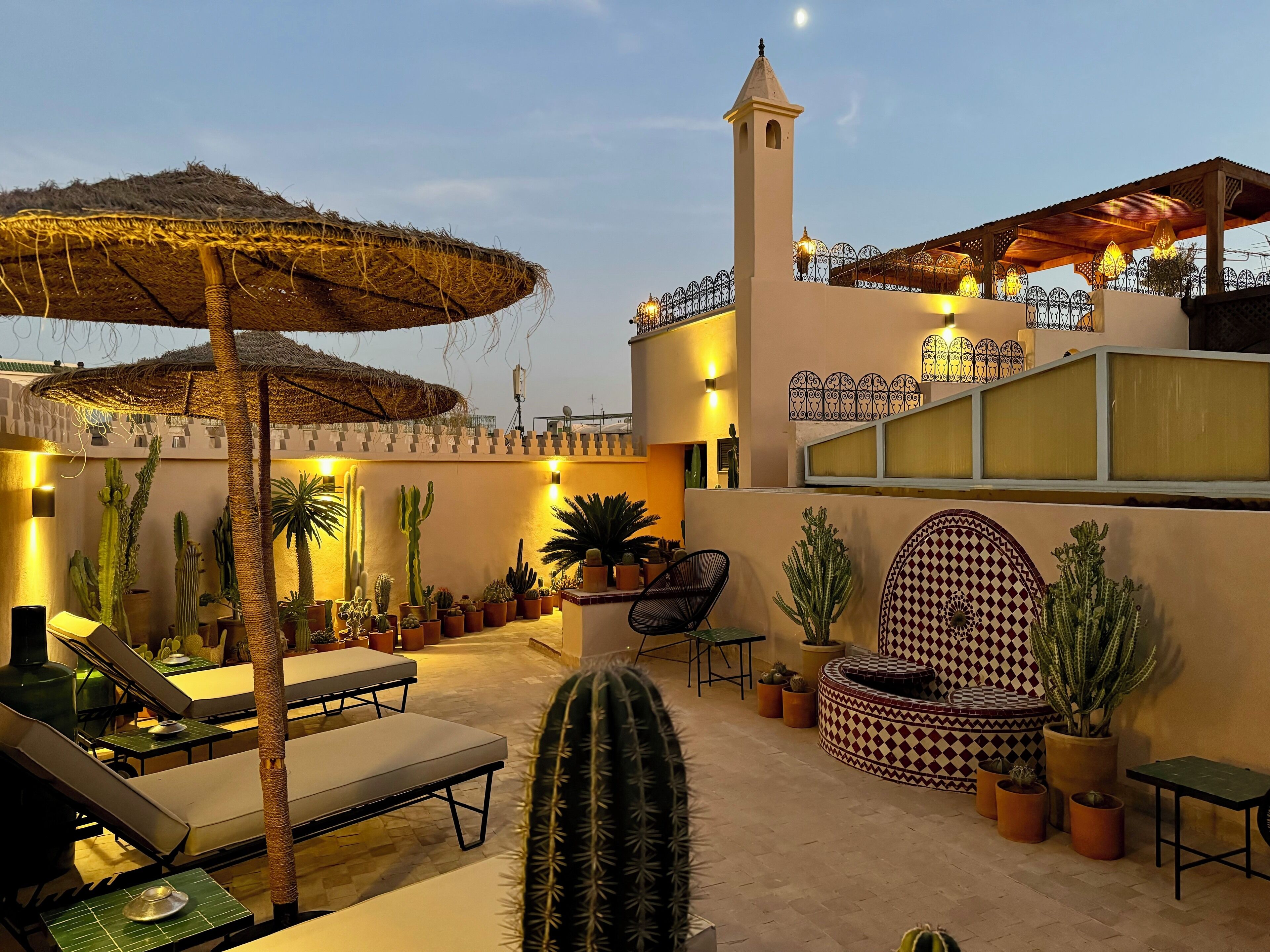 An outdoor patio with lounge chairs, a thatched umbrella, potted cacti, and a decorative wall with a geometric pattern.
