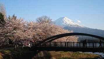 Un puente sobre un río, con flores de cerezo y una montaña nevada al fondo.