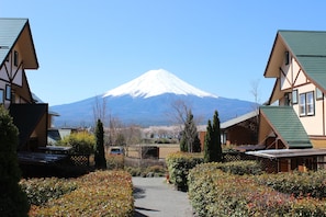 Superior Cottage | View from room