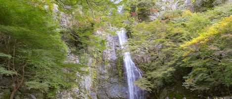 Wandern