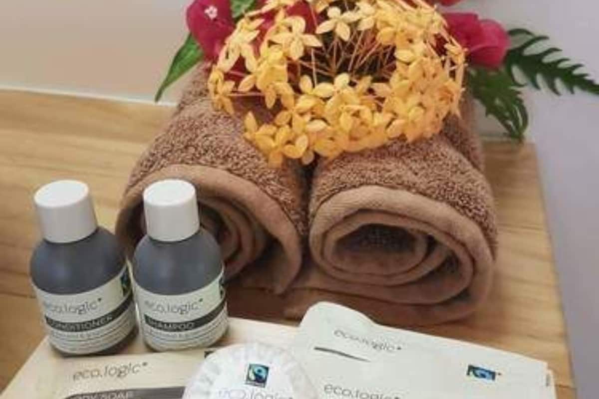 premier bungalow, 1 bedroom, partial ocean view | room amenity