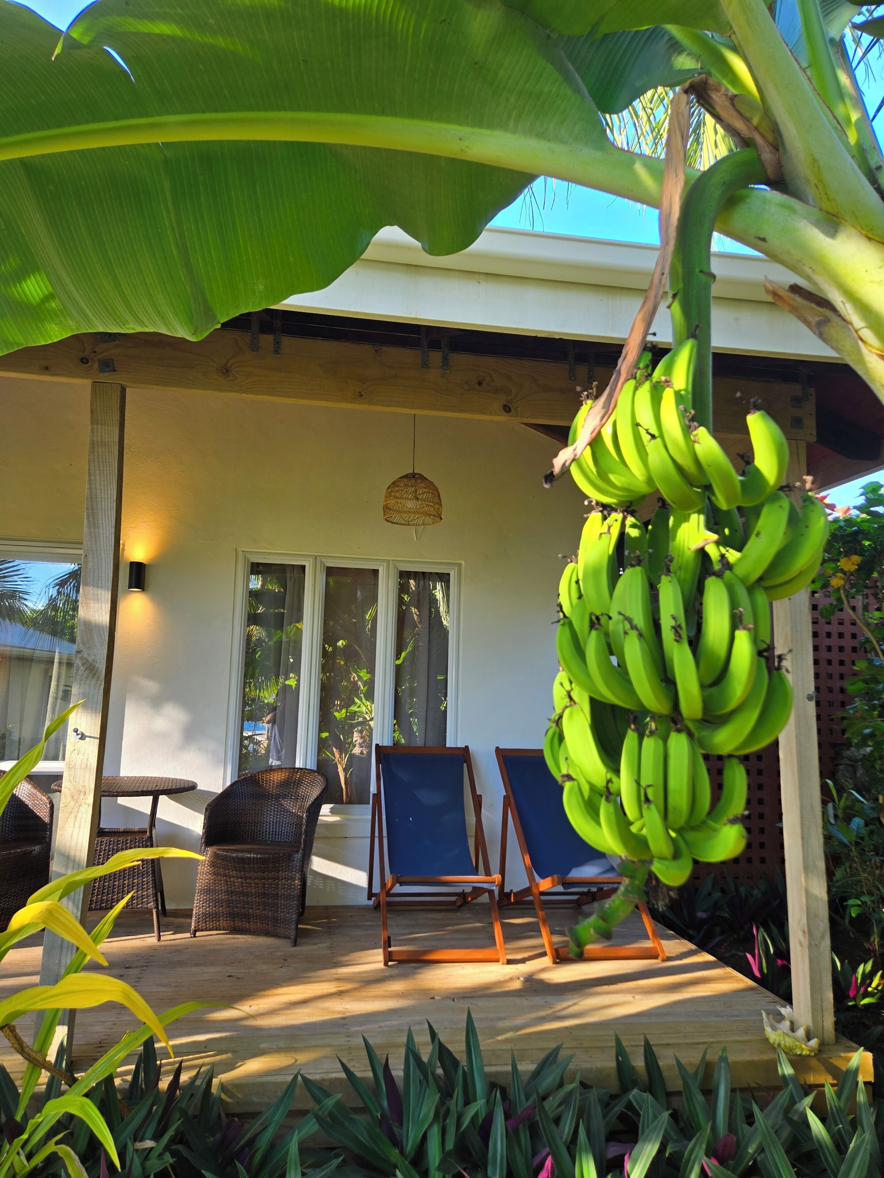 Bungalou Premier, 1 dormitori, vistes parcials a l'oceà | Roba de llit d'alta qualitat, caixa forta a l'habitació i escriptori 