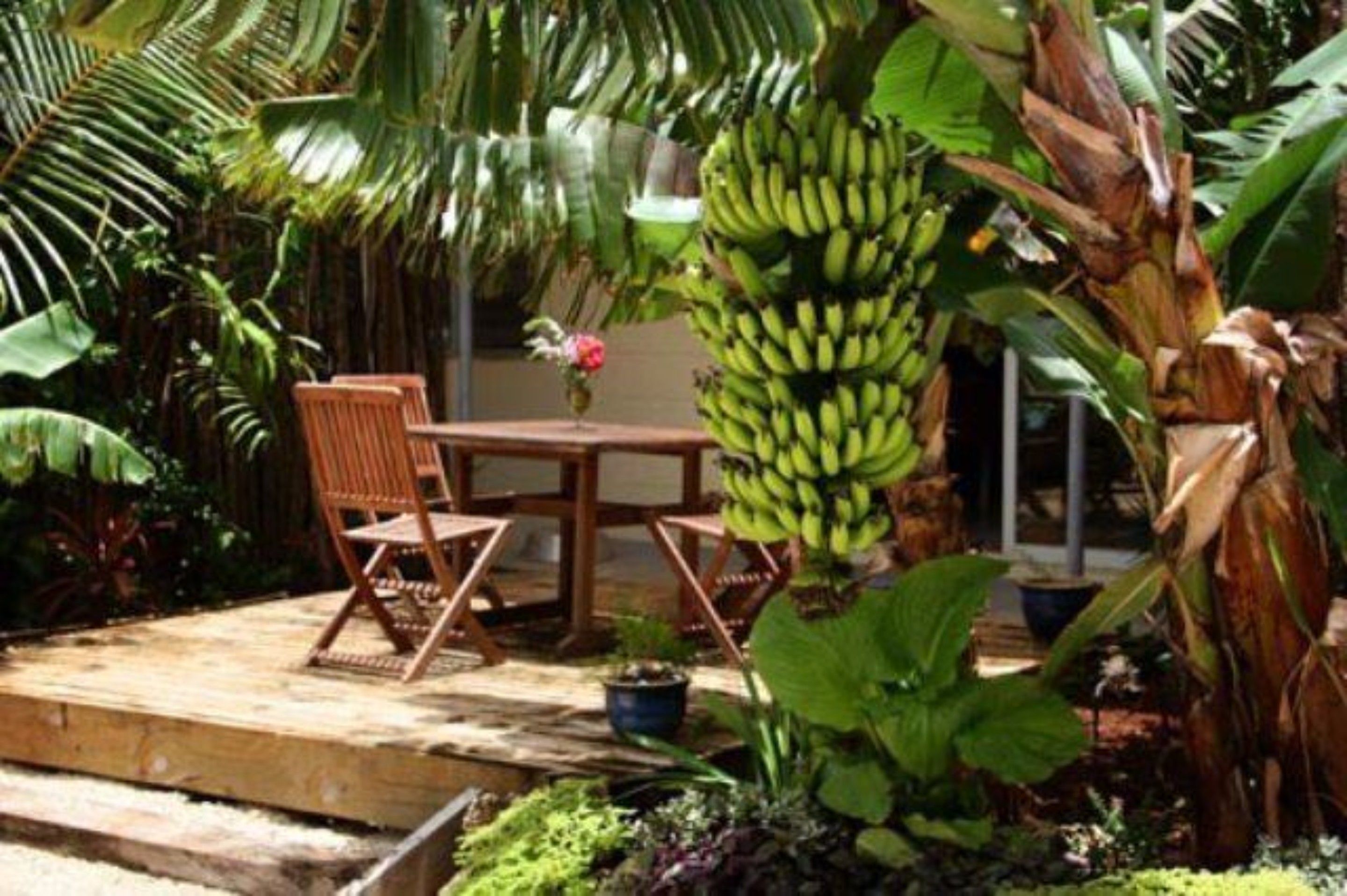 beachfront room | terrace/patio