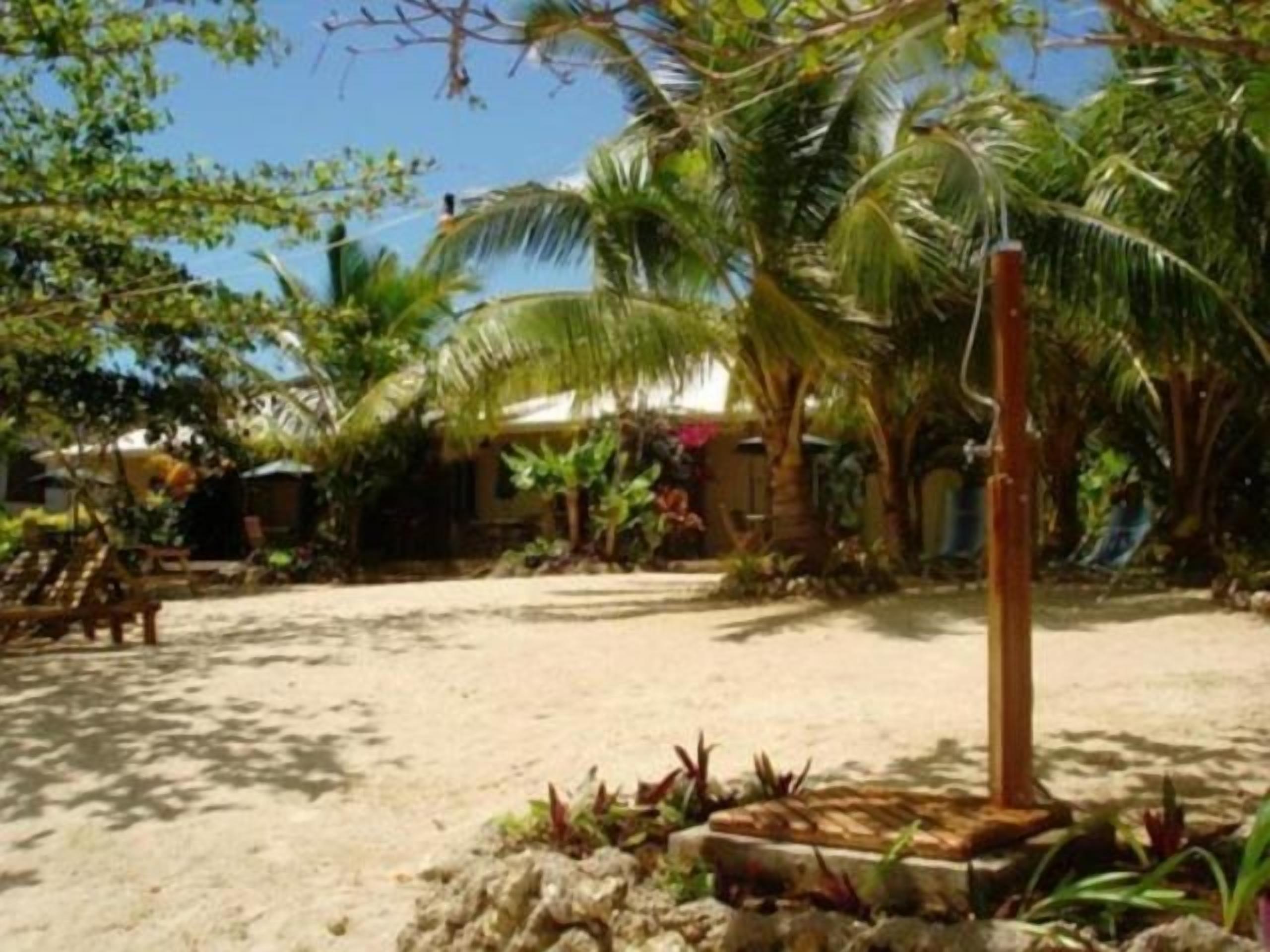 Un espacio al aire libre con arena, palmeras y un poste de madera.