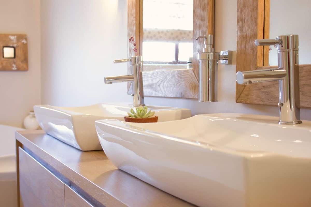 Une salle de bain avec deux lavabos, un miroir et une petite plante posée sur le comptoir.