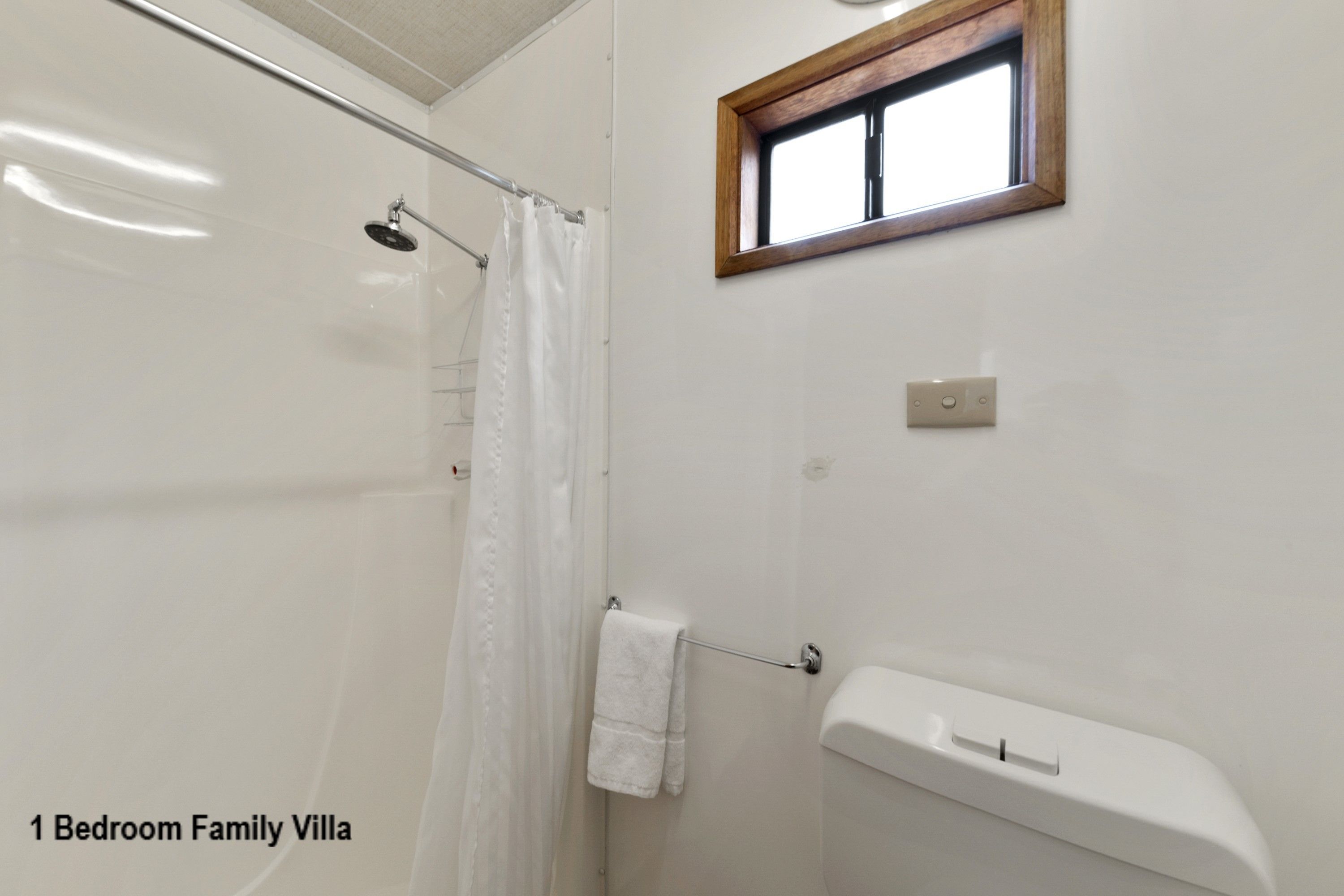 A bathroom with a shower, a toilet, and a window.