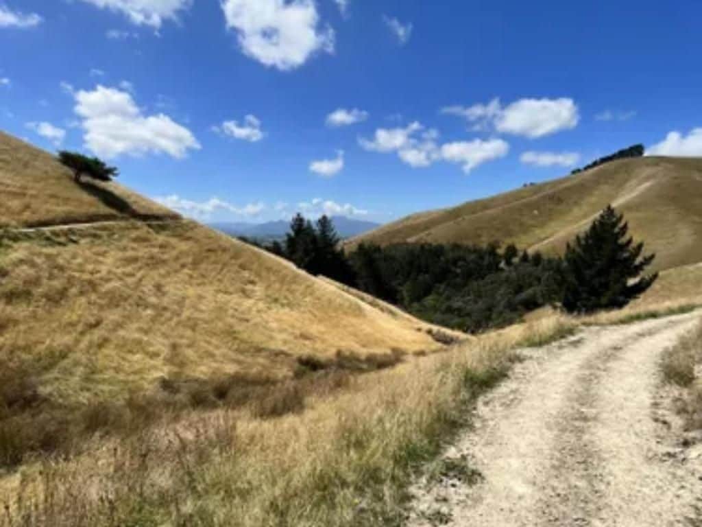 Ein unbefestigter Weg schlängelt sich durch eine hügelige Landschaft mit spärlicher Vegetation und blauem Himmel.