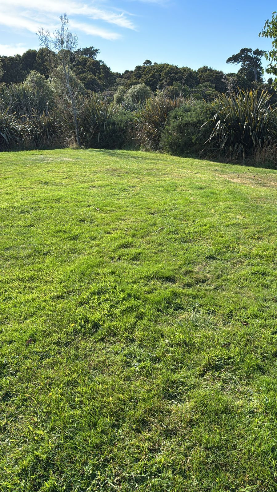 Un campo cubierto de hierba con arbustos y árboles al fondo.