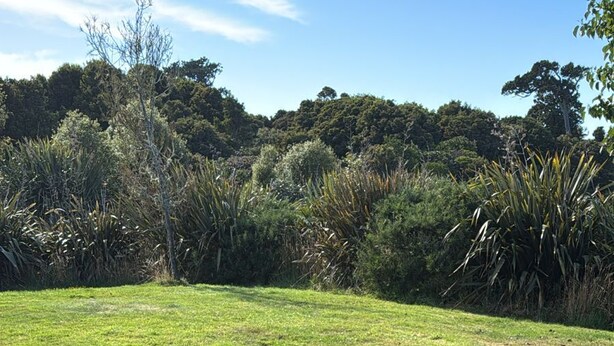 A grassy field with dense shrubbery and trees in the background. - Whistling Frog Cafe & Resort (Chaslands)