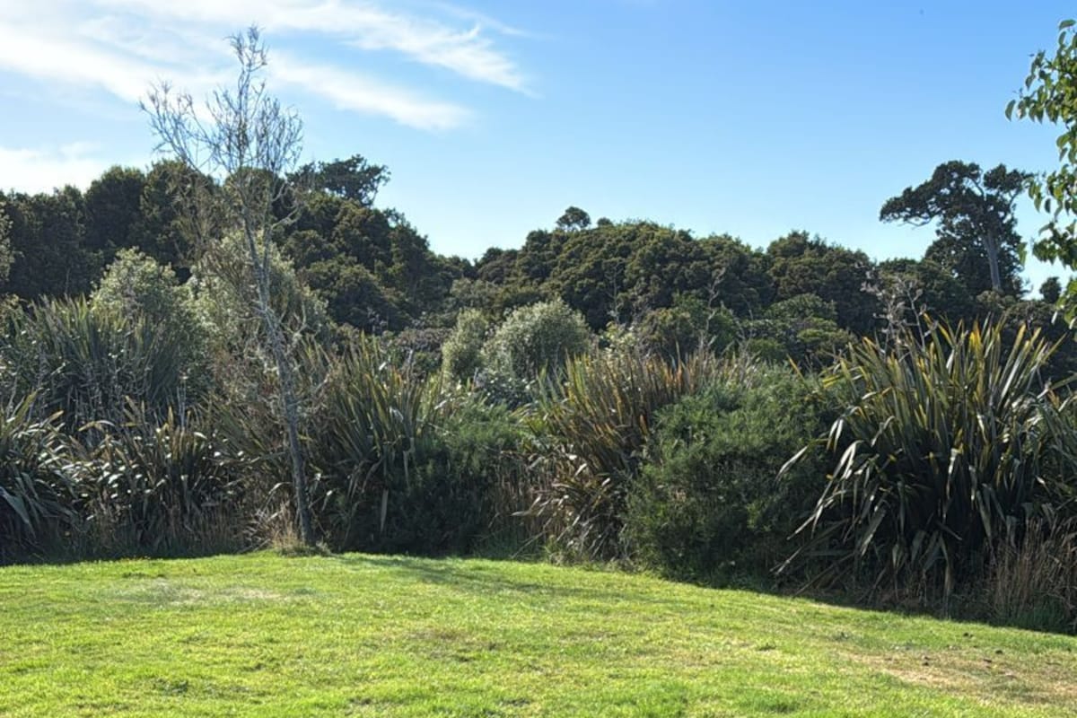 A grassy field with dense shrubbery and trees in the background.