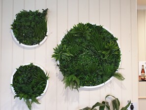 Trois jardinières circulaires à fixer au mur, contenant différentes plantes vertes.