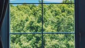 Una ventana con vistas a una densa vegetación verde y una cadena montañosa distante.