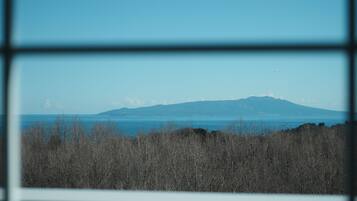 Camera Deluxe con 2 letti singoli, 2 letti singoli, balcone, vista mare parziale | Vista dalla camera
