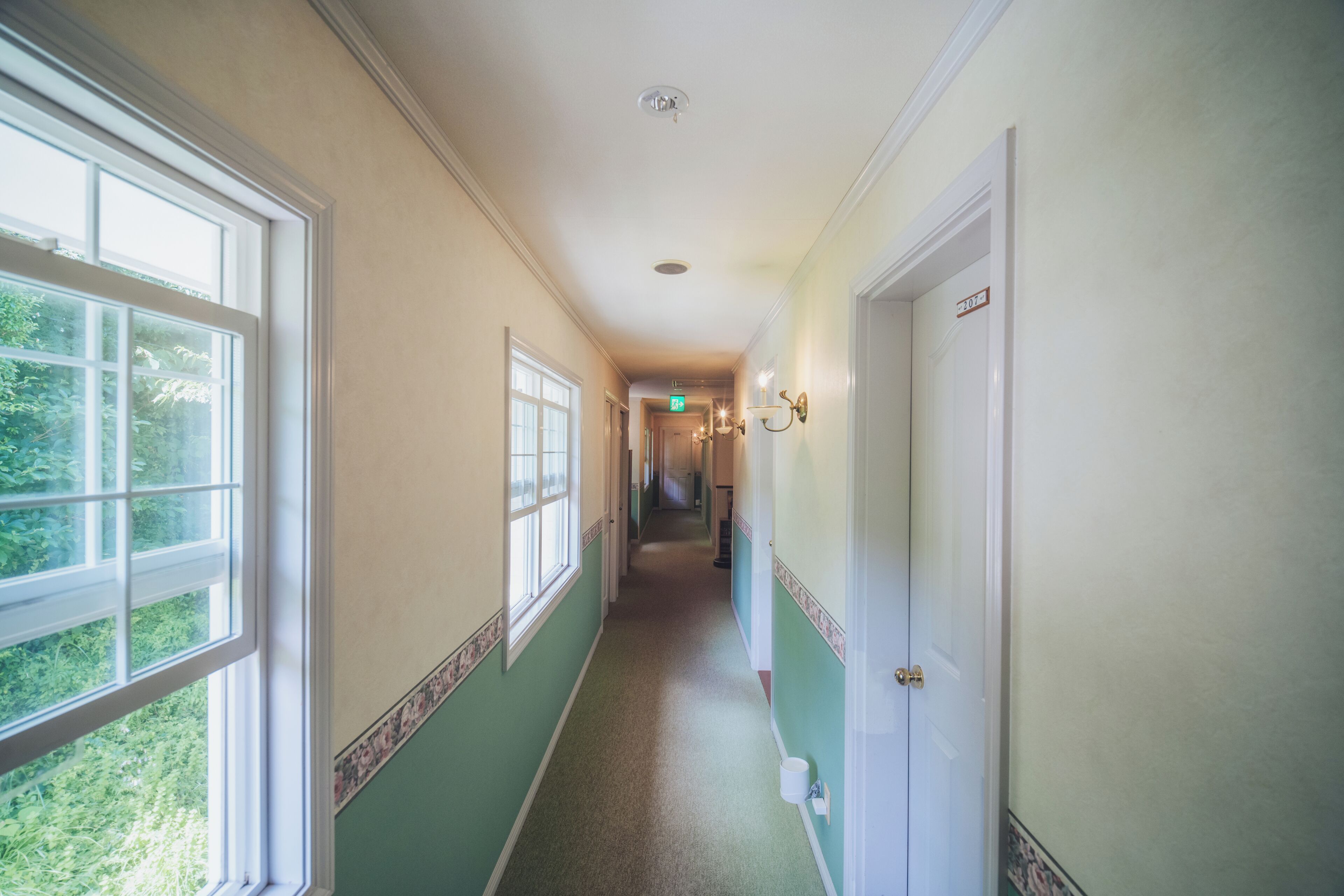 A hallway with a carpeted floor, a door with a number, and a window with a view of greenery.