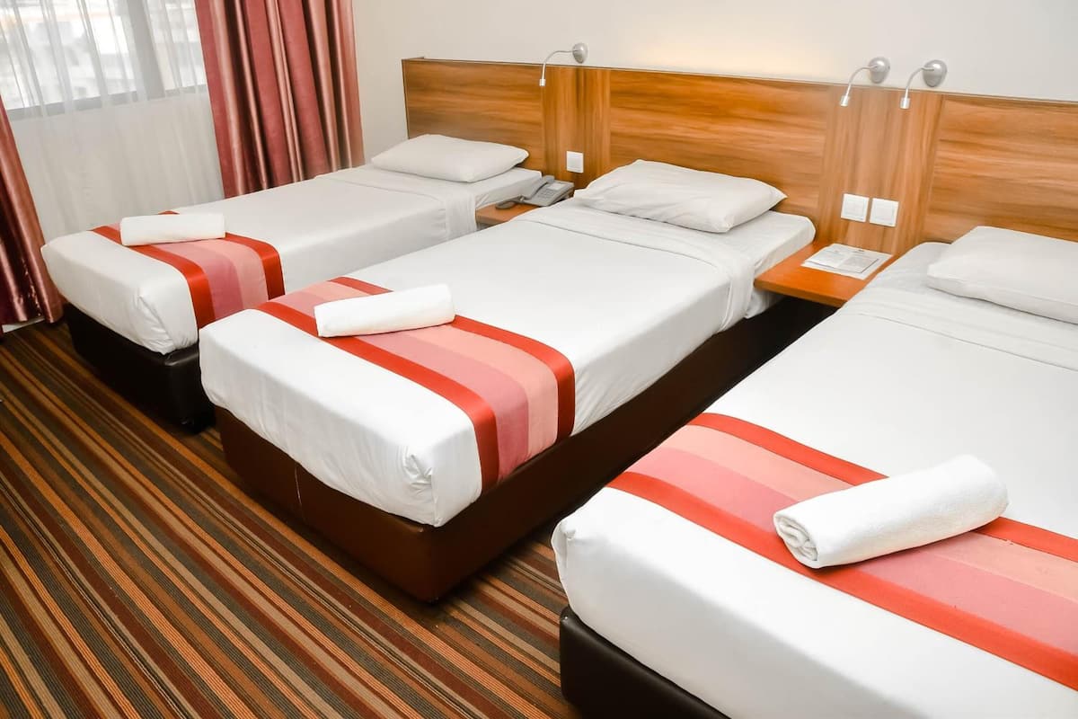 minibar, blackout curtains, iron/ironing board, free wifi