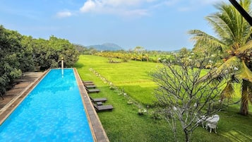 Outdoor pool, pool umbrellas, sun loungers