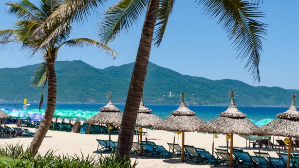 Una playa con palmeras, sillas de playa y sombrillas de paja.