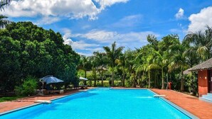 Una piscina rodeada de exuberante vegetación, con un cielo azul despejado.