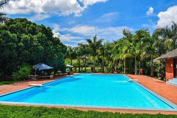A swimming pool surrounded by lush greenery, with a clear blue sky above.