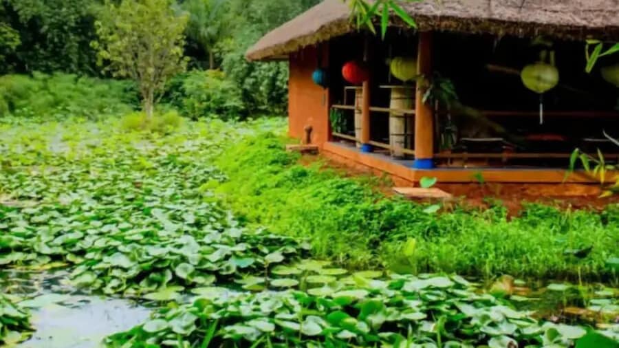 Red Earth Kabini