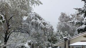 Un espacio al aire libre cubierto de nieve con mesas de picnic y un edificio.