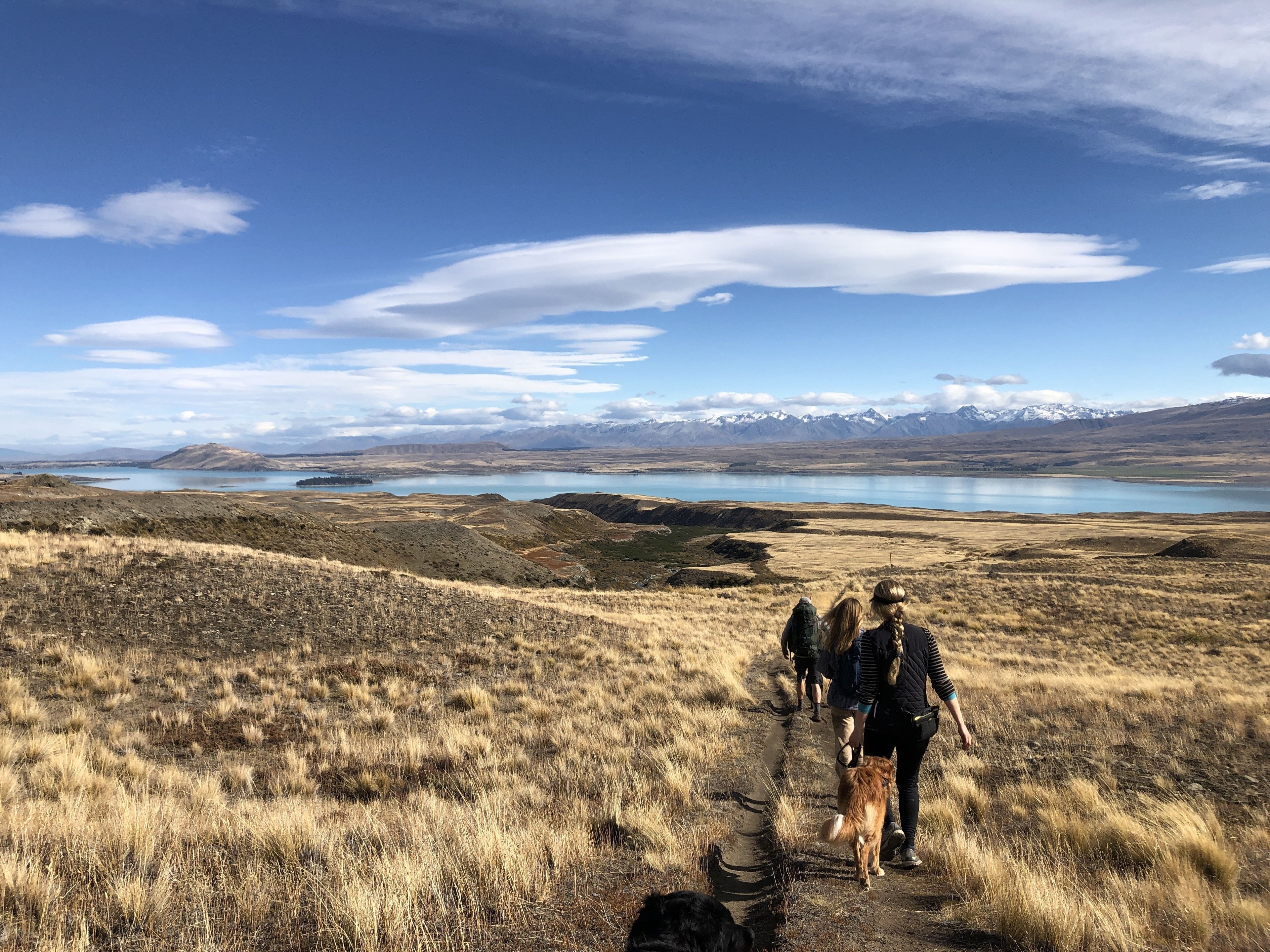 A group of people walking a dog on a dirt path with a lake and mountains in the background.
