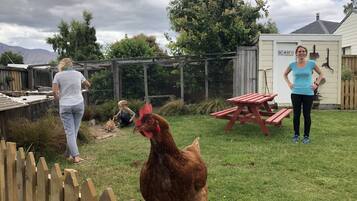 A backyard with a wooden fence, a chicken, a rabbit, and a picnic table.