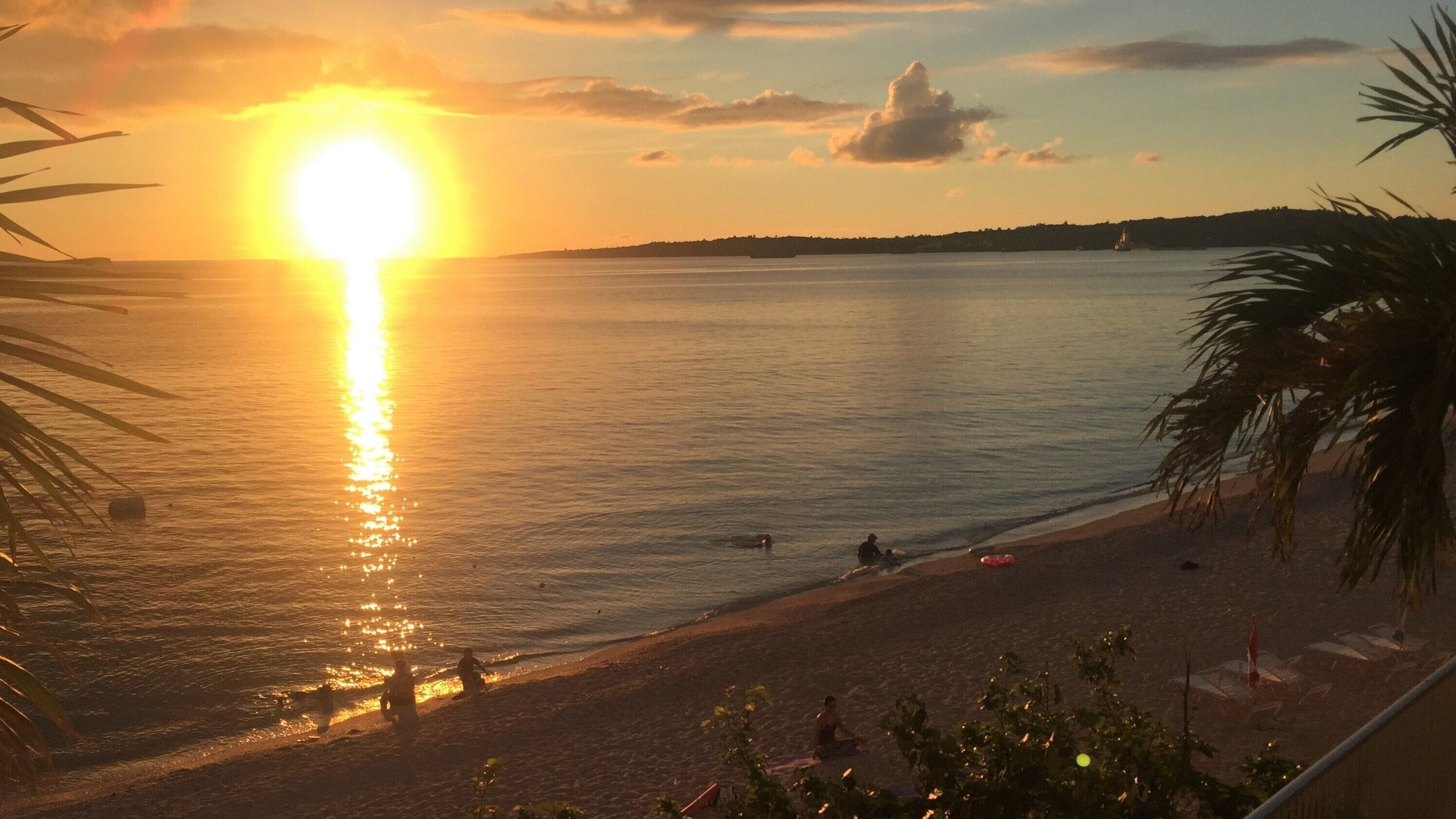 A beach with a sunset, calm sea, and palm trees.