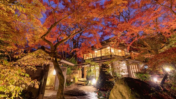 Un edificio tradicional japonés de estructura de madera, rodeado de follaje otoñal e iluminado con luz ambiental.