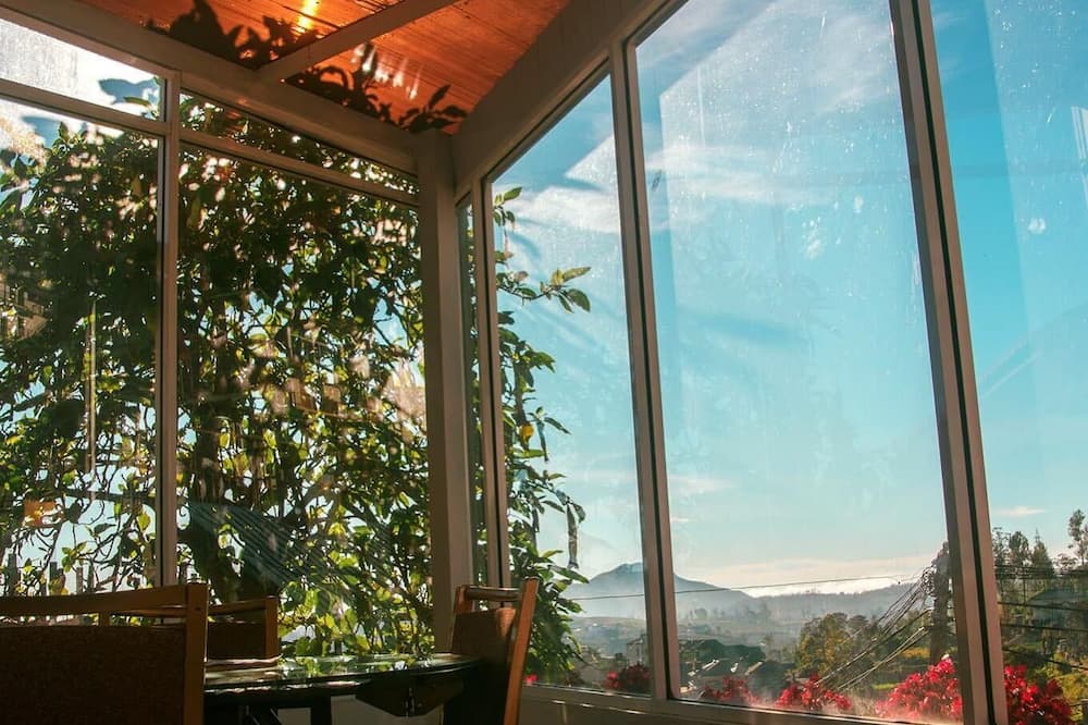 The Rock Hotel