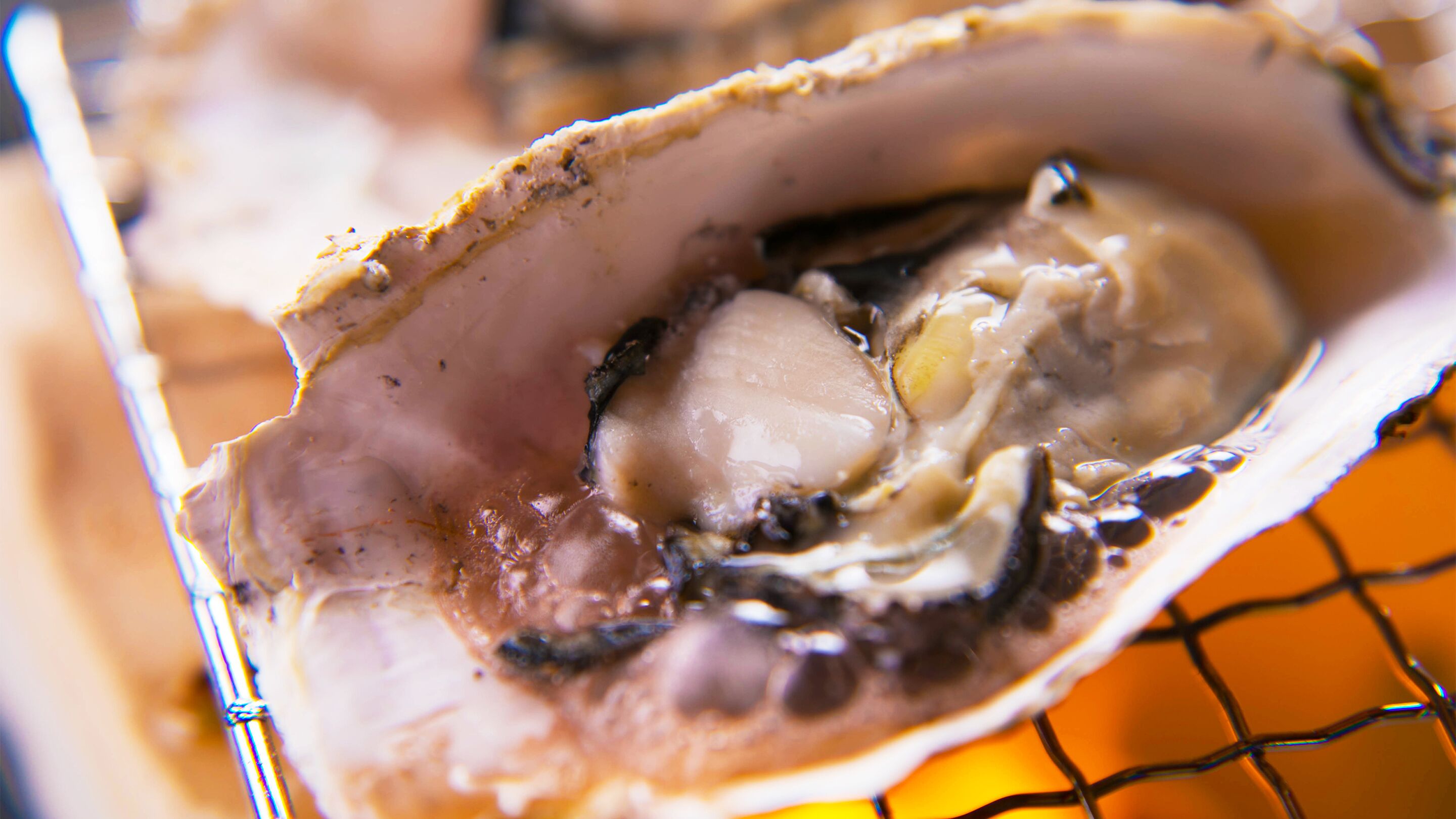 A close-up of an oyster with a half shell, revealing the oyster meat and a pearl inside.
